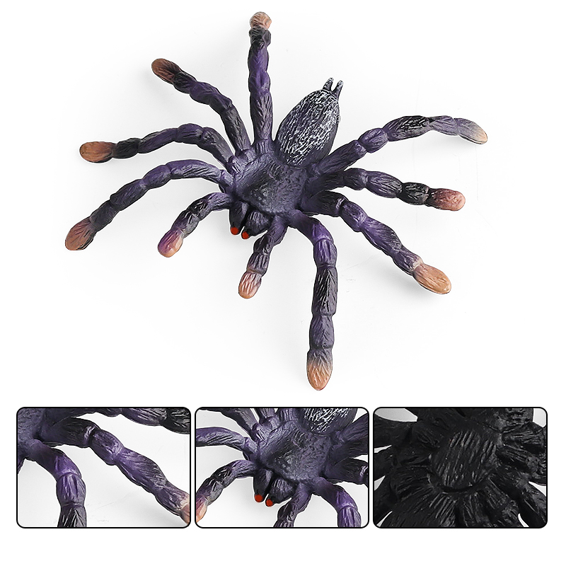 Oenux Insect Animals Model Spi - Photography Online review and price