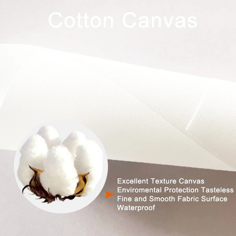 3pcs Frameless Canvas Painting - Photography Kit review and price