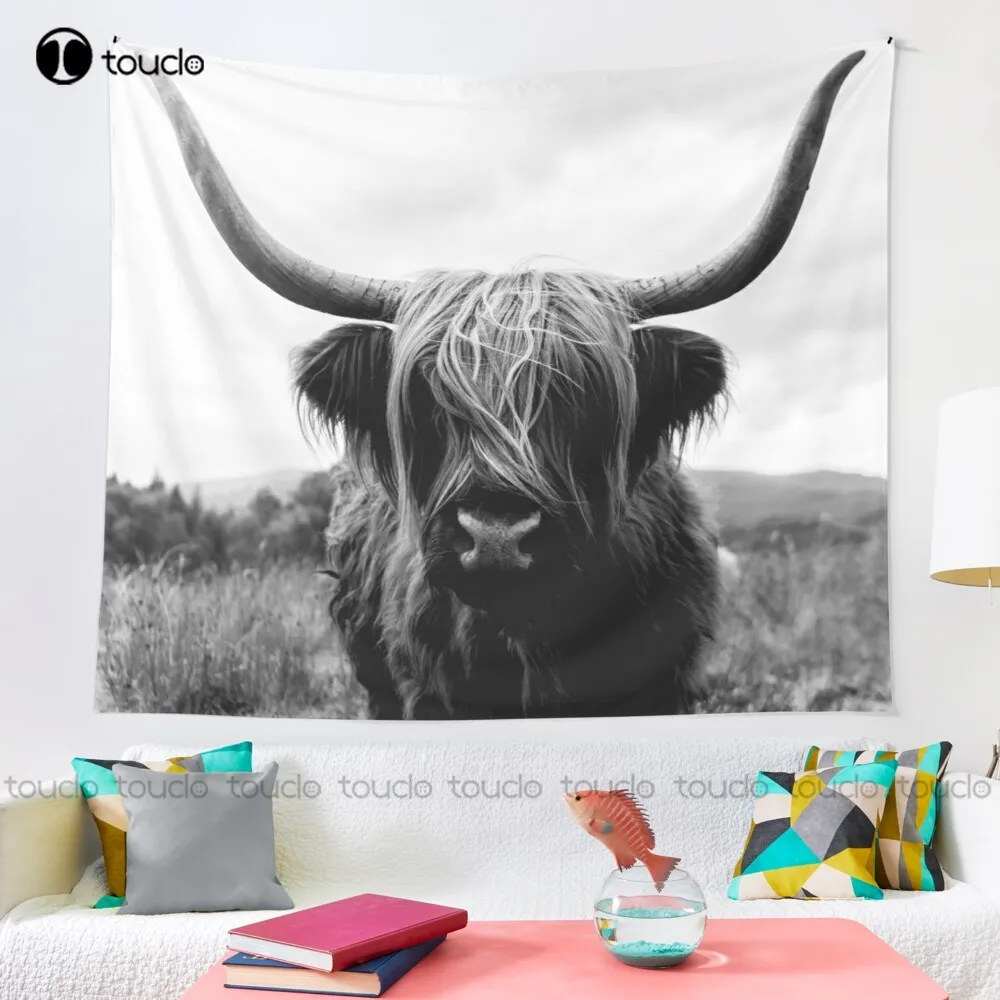 Scottish Highland Cattle - Bla - Photography Online review and price