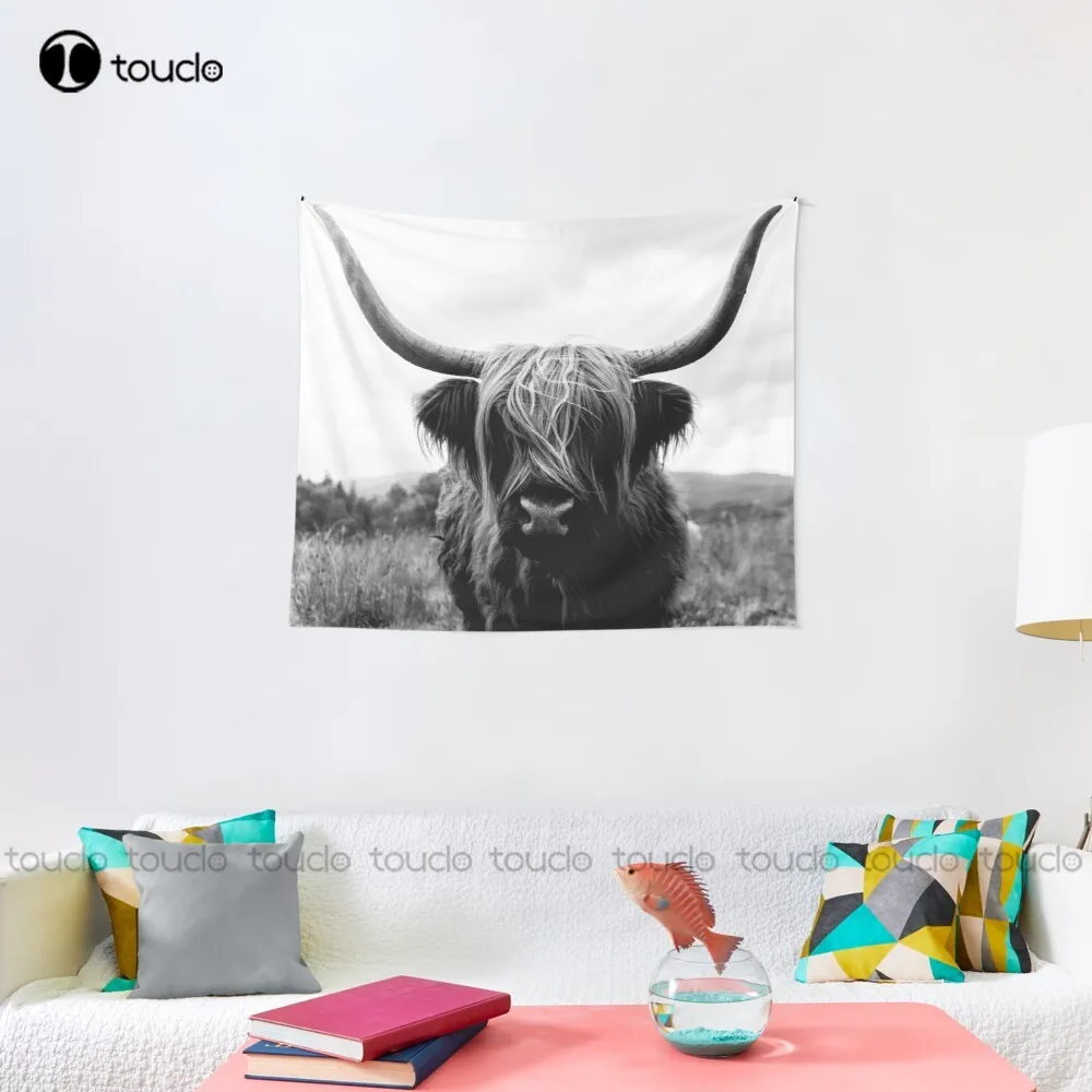 Scottish Highland Cattle - Bla - Photography Online review and price